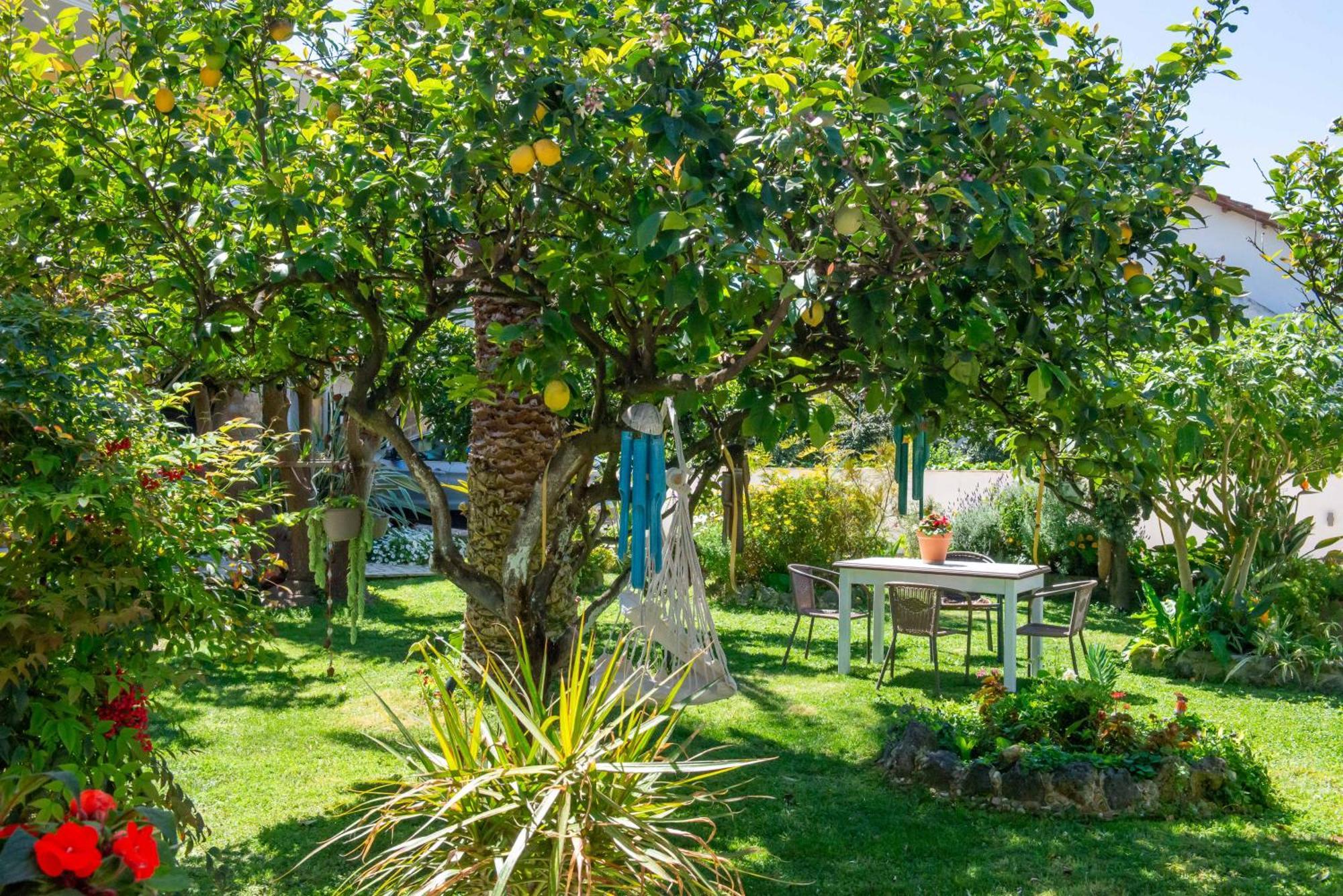 Alex Studios & Apartments Arillas  Extérieur photo