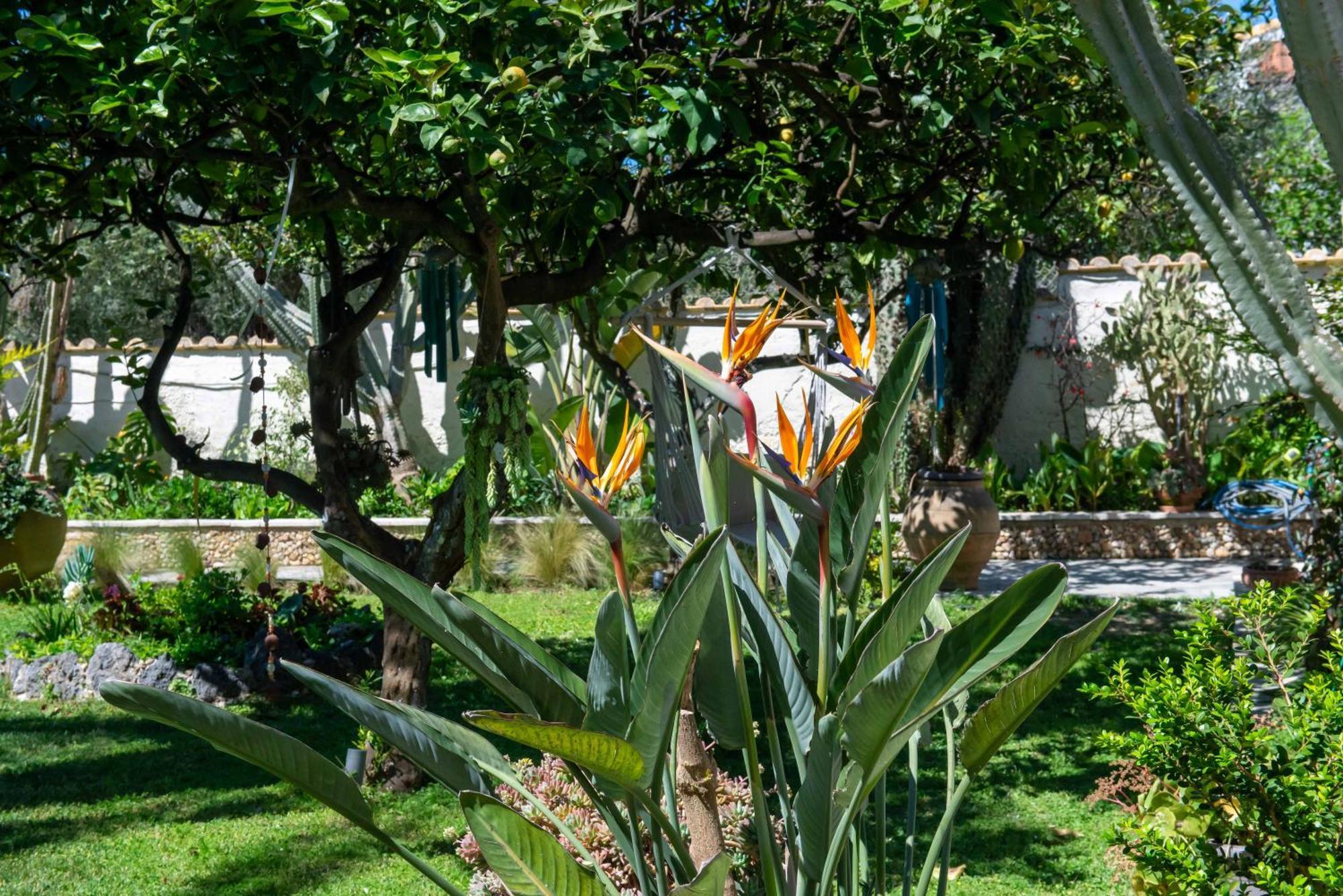 Alex Studios & Apartments Arillas  Extérieur photo